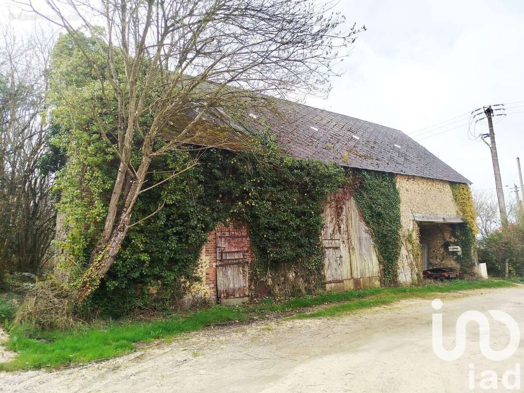 Photo 2 - Terrain à LE PLESSIS-DORIN