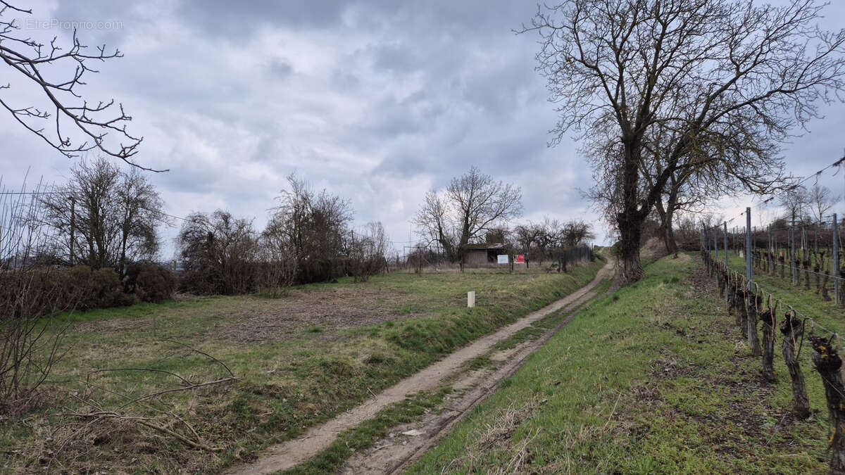 Terrain à EGUISHEIM