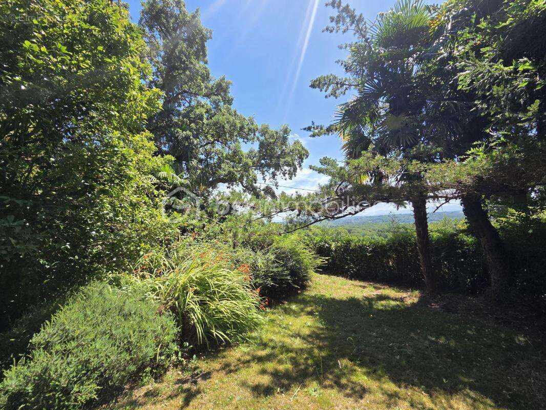 Maison à SALIES-DE-BEARN