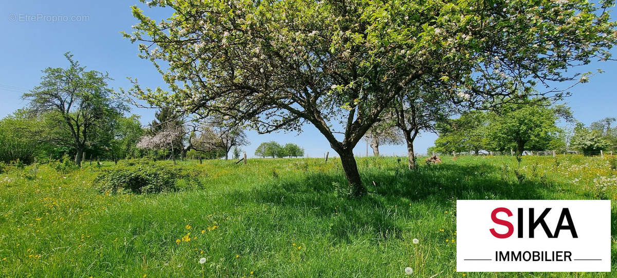 Terrain à SAINT-JEAN-KOURTZERODE