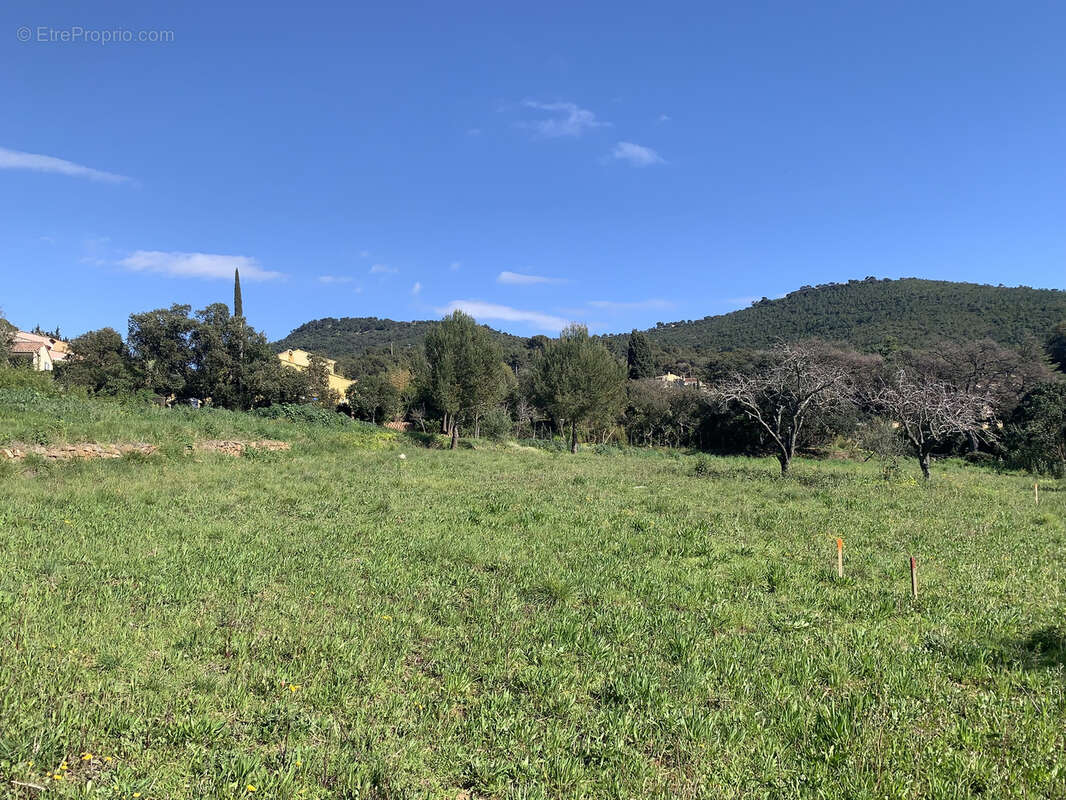 Terrain à LE PRADET
