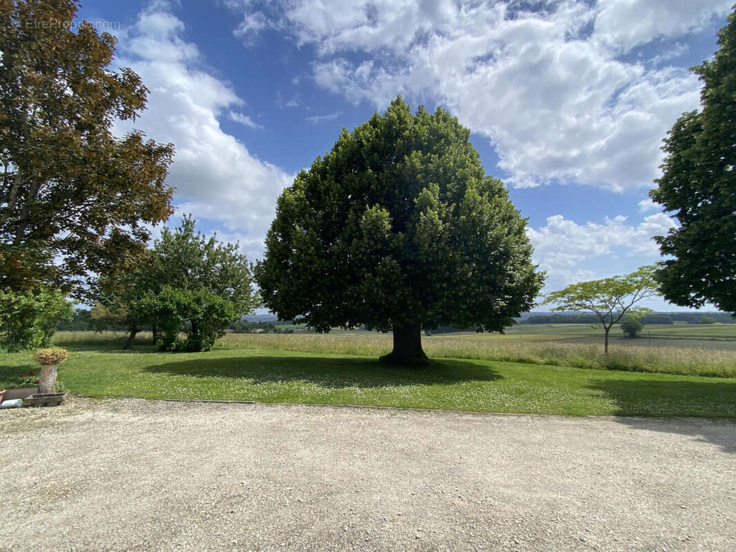 Propriété de Campagne avec Fort Potentiel Proche Chalais - photo 6