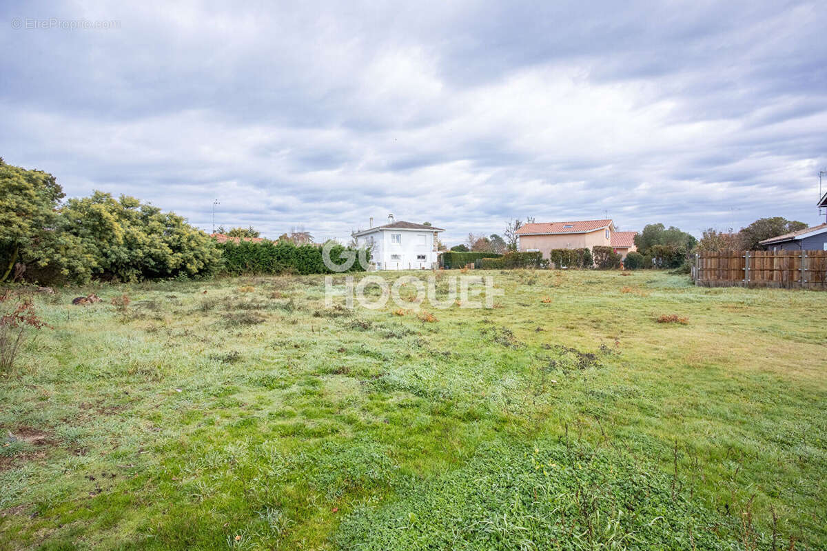 Terrain à BISCARROSSE