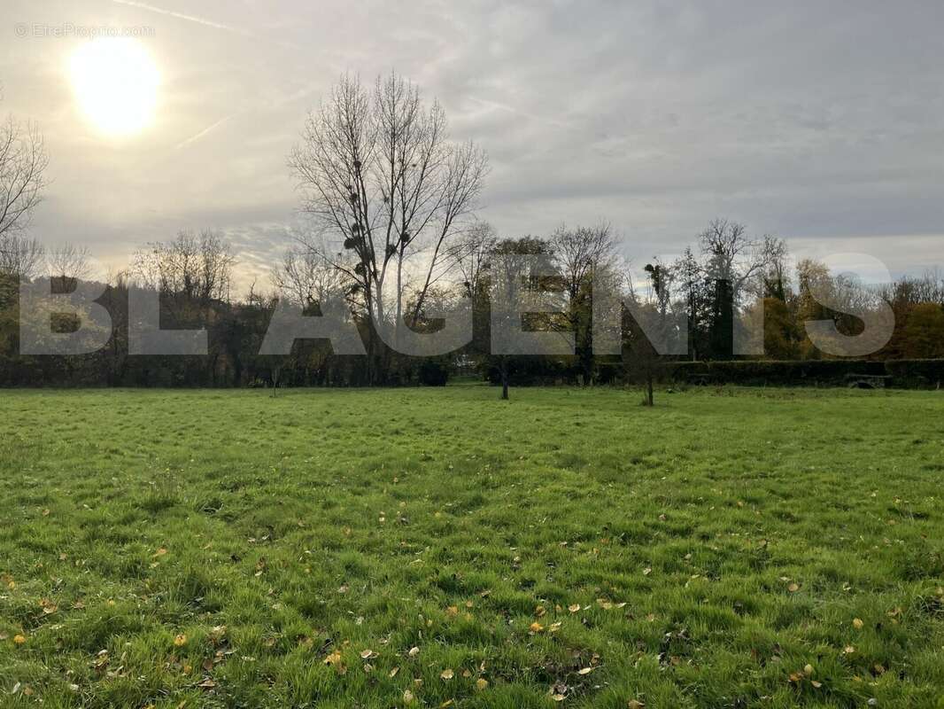 IMG_8126 - Terrain à LA FERTE-SOUS-JOUARRE