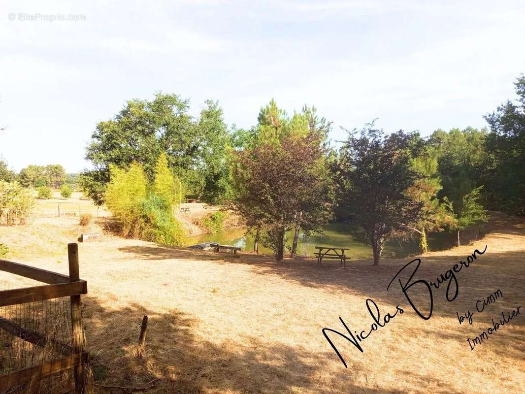 En exclusivité – Ensemble immobilier avec deux habitations, étang et près d’un hectare de terrain - photo 11