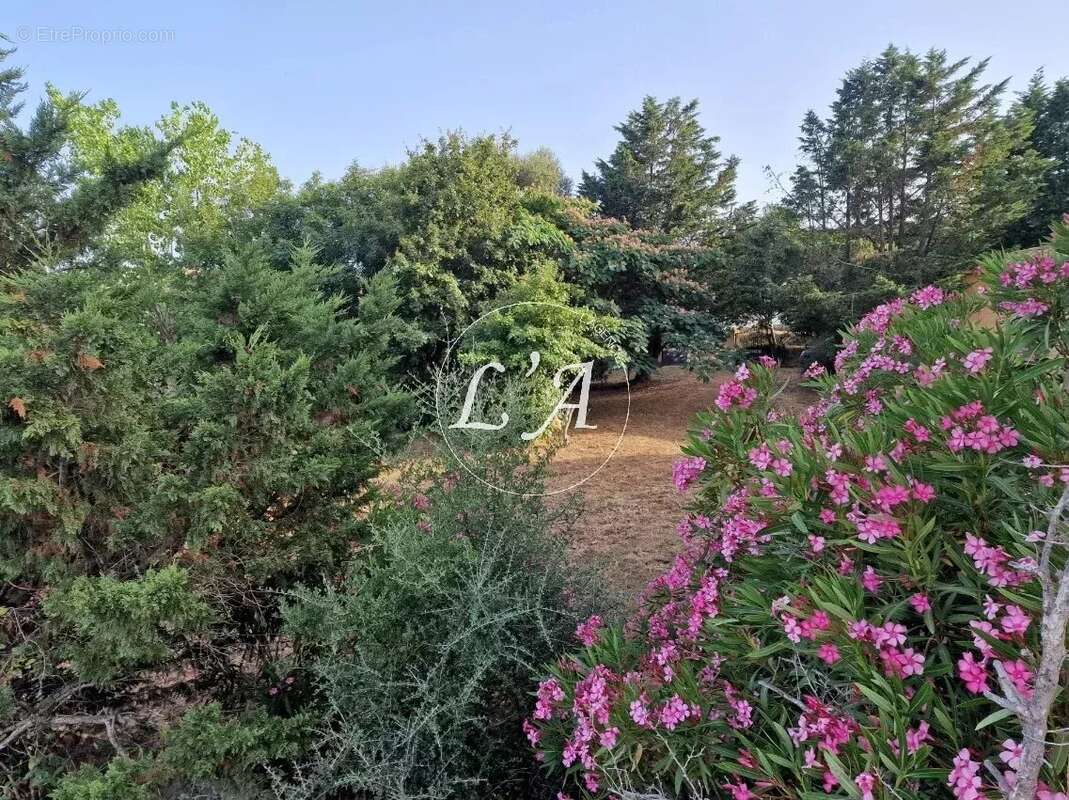 Maison à SARI-SOLENZARA