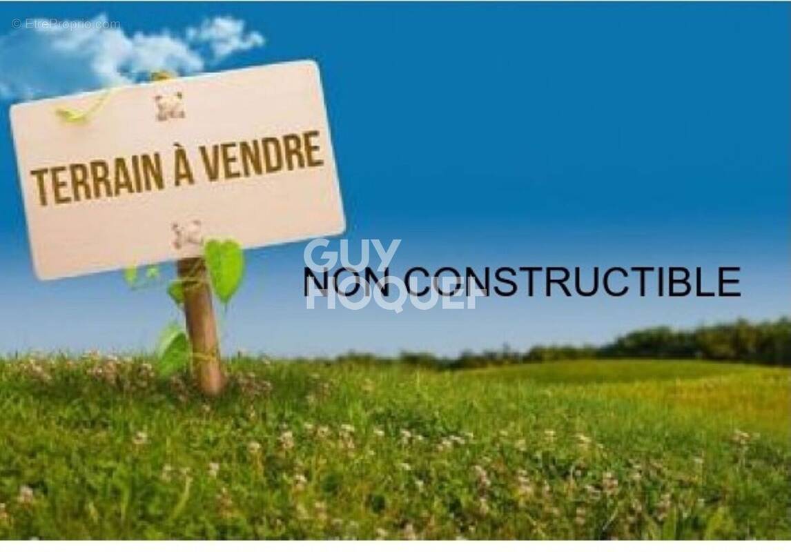 Terrain à SAINT-SAUVEUR