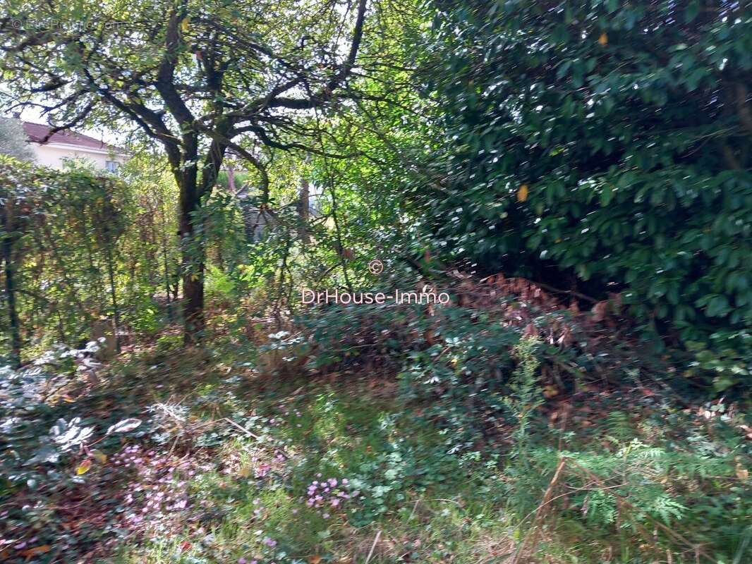 Terrain à VERRIERES-LE-BUISSON