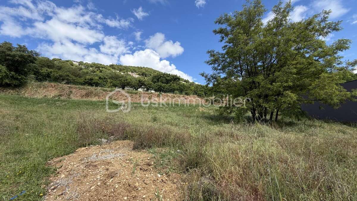 Terrain à SAVASSE