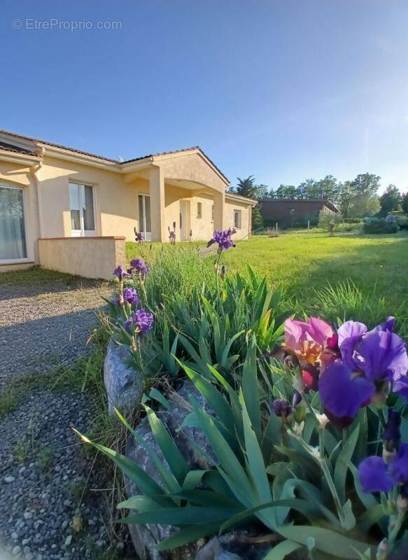 Maison à REALMONT