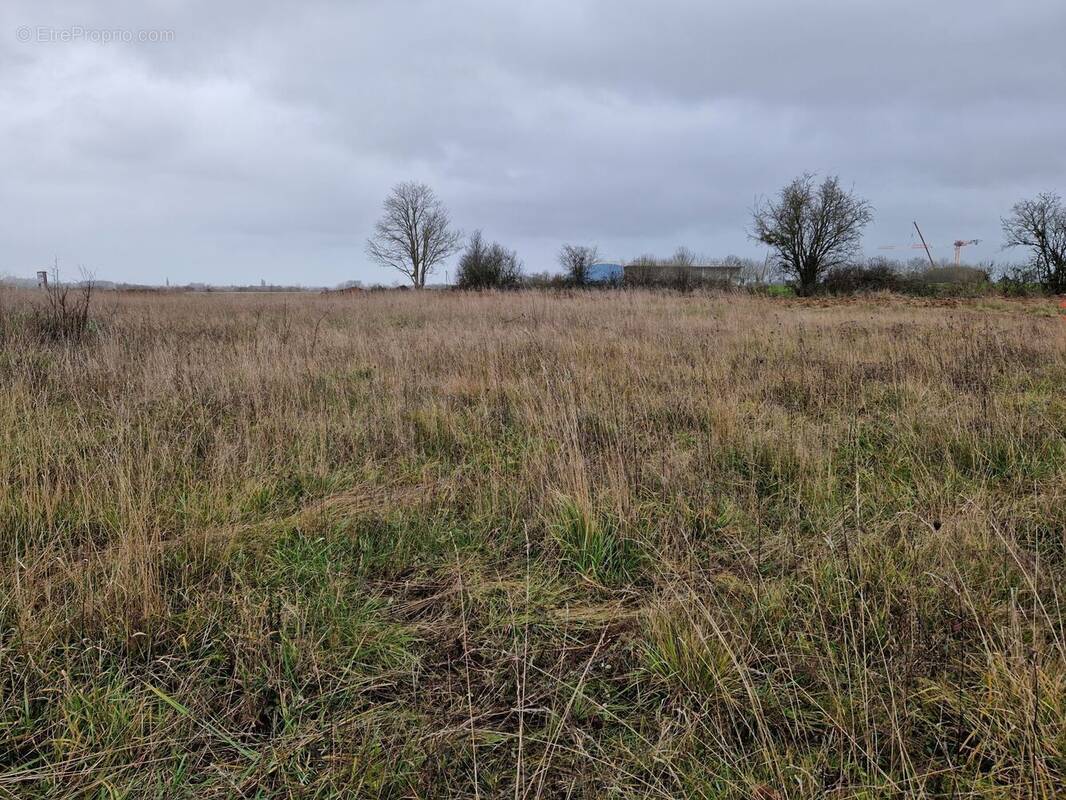 Terrain à SAINT-OUEN-DE-MIMBRE