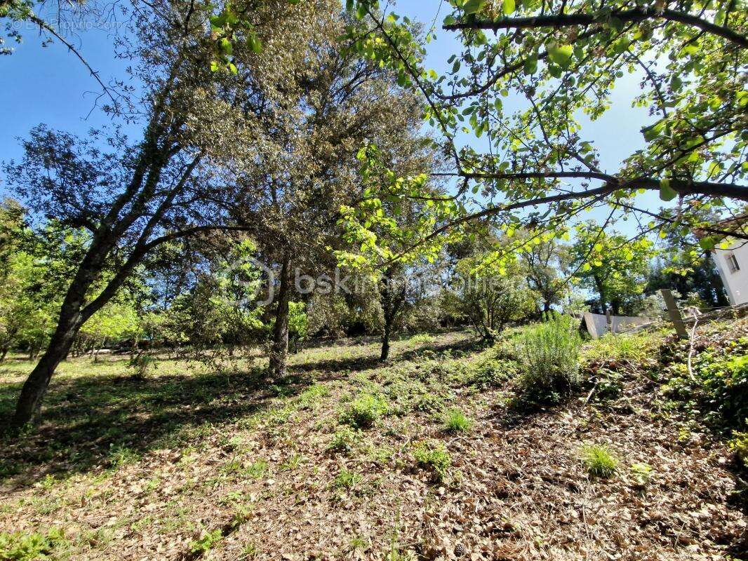 Terrain à LES ADRETS-DE-L&#039;ESTEREL