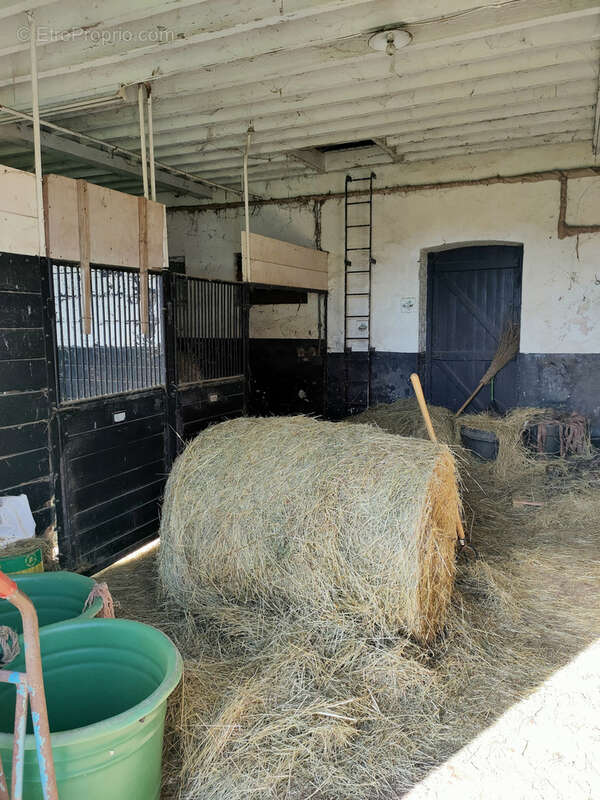 Propriété équestre avec 13 hectares - photo 25