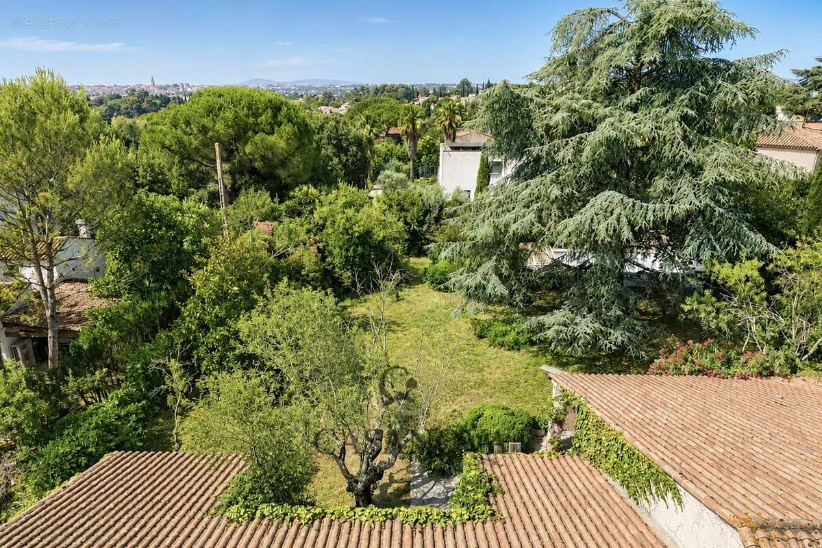 Maison à MONTPELLIER