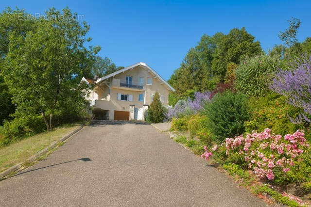 Maison à GEX