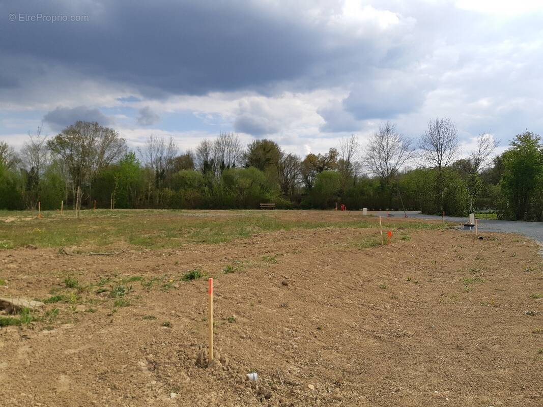 Terrain à TOUVOIS