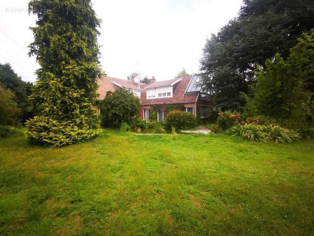 Photo 8 - Maison à SAINGHIN-EN-MELANTOIS