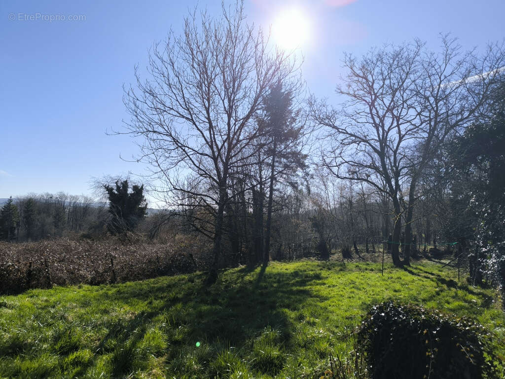 Maison à MONTREUILLON