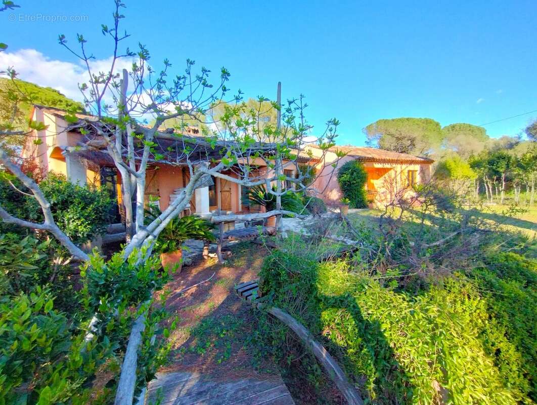 Maison à ROQUEBRUNE-SUR-ARGENS