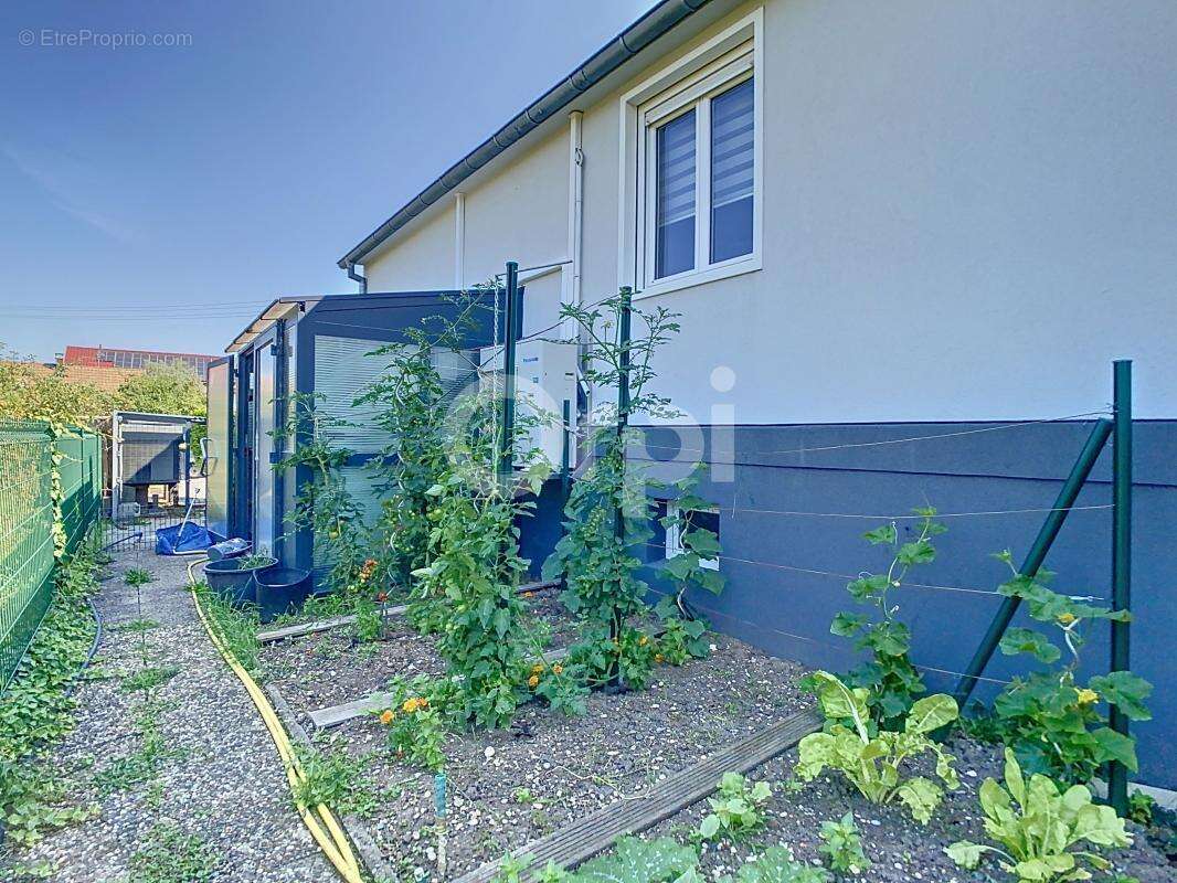 Maison à BATTENHEIM