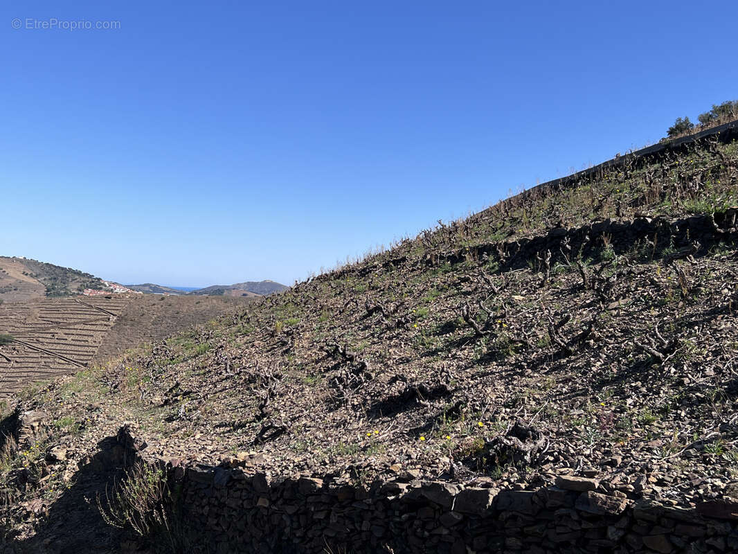 Terrain à BANYULS-SUR-MER