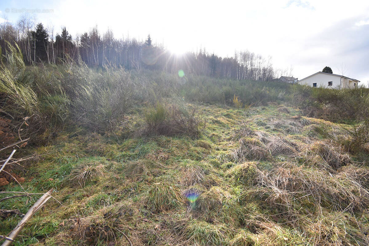 Terrain à SAULCY-SUR-MEURTHE