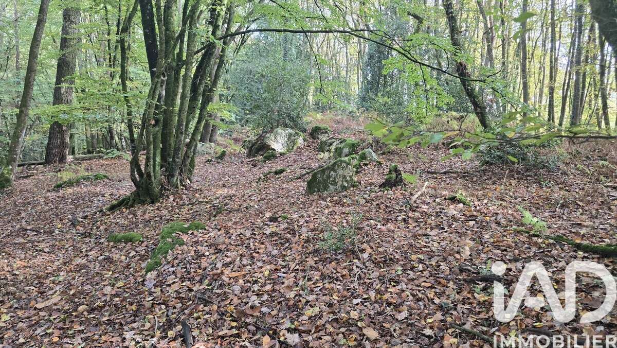 Photo 4 - Terrain à VIEUX-VY-SUR-COUESNON