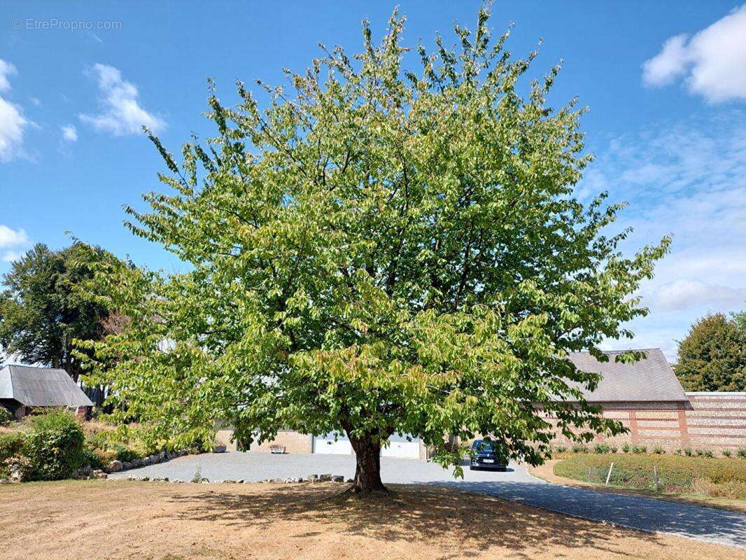 Ancien corp de ferme  7150 m² - photo 14
