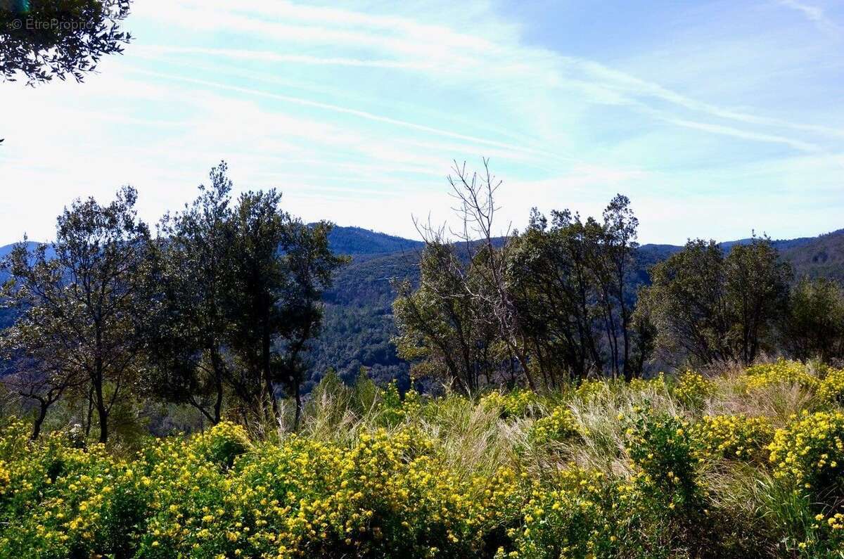 Terrain à LE TIGNET