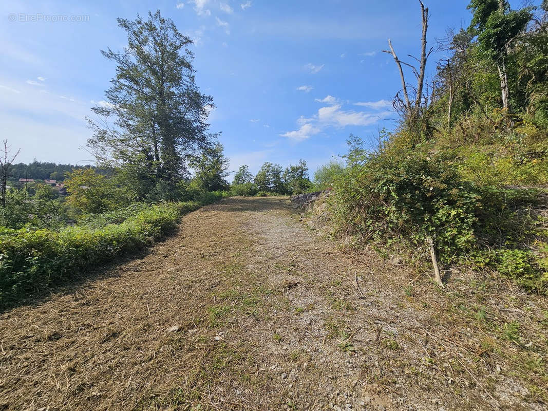 Terrain à SAINT-CLAUDE