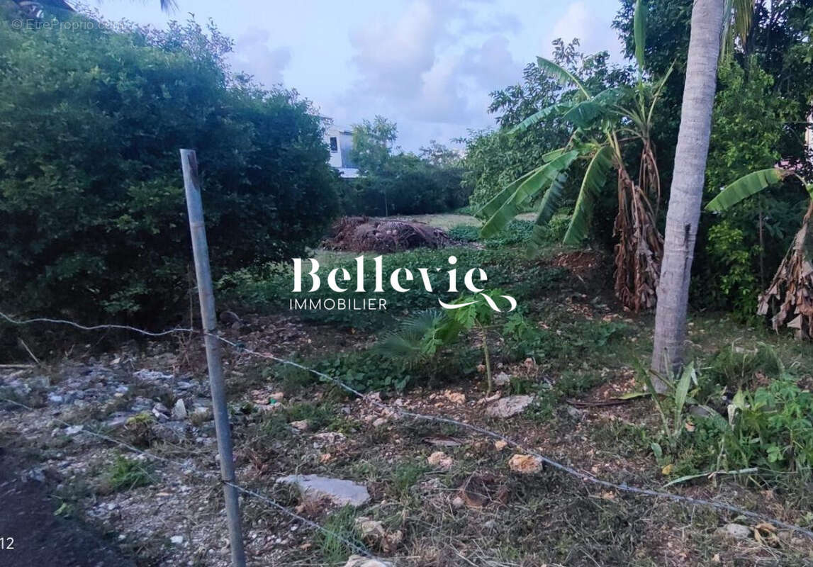 Terrain à ANSE-BERTRAND