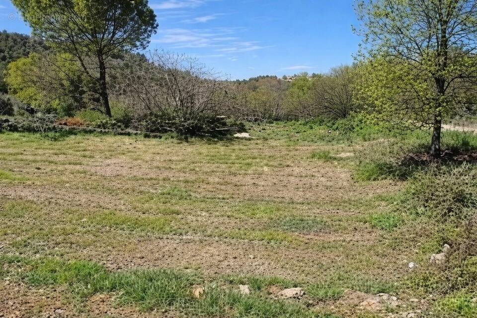 Terrain à SAINT-MAXIMIN-LA-SAINTE-BAUME