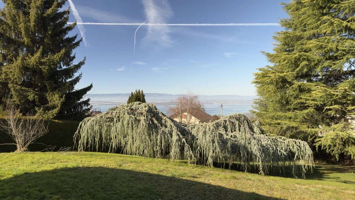 Maison à EVIAN-LES-BAINS