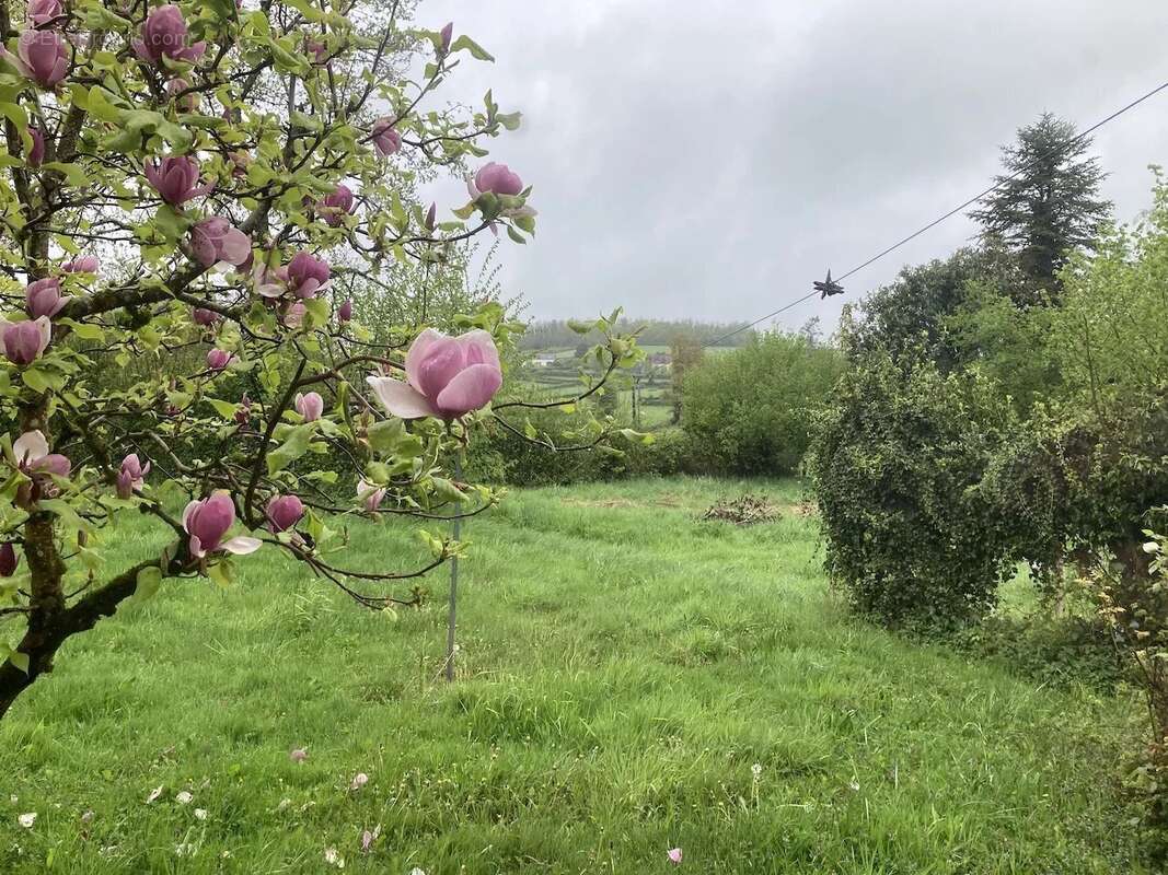 Maison à MONTIGNY-EN-MORVAN