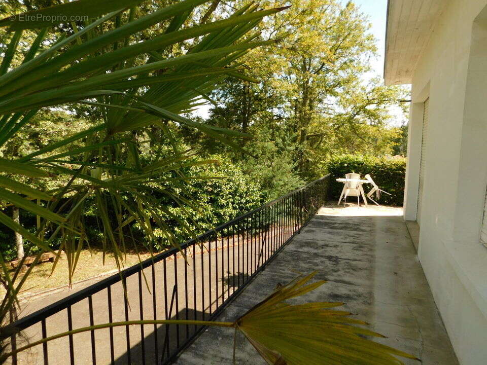 #villa #maison #appartements #gers #cazaubon #vendre - Maison à CAZAUBON