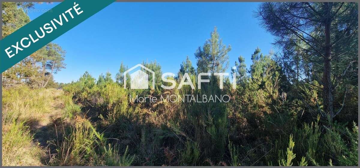 Photo 3 - Terrain à BIGANOS