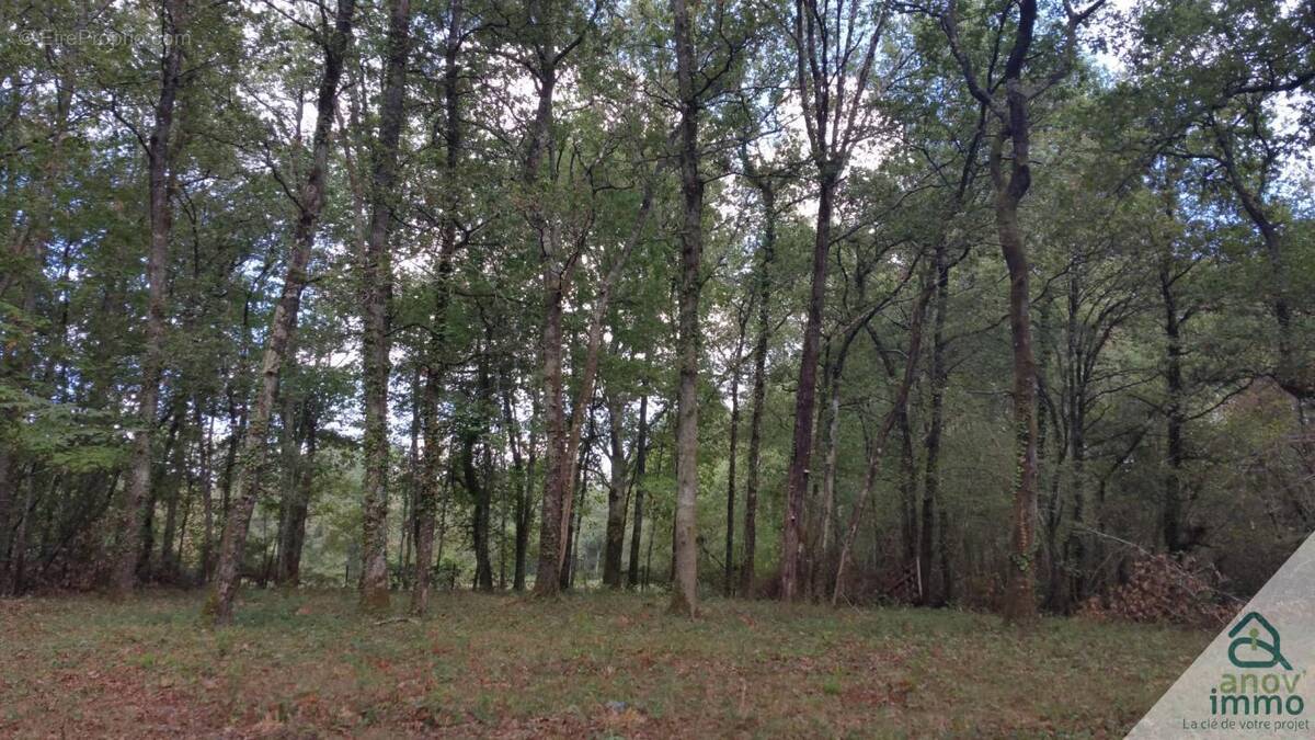 Terrain à BLANQUEFORT