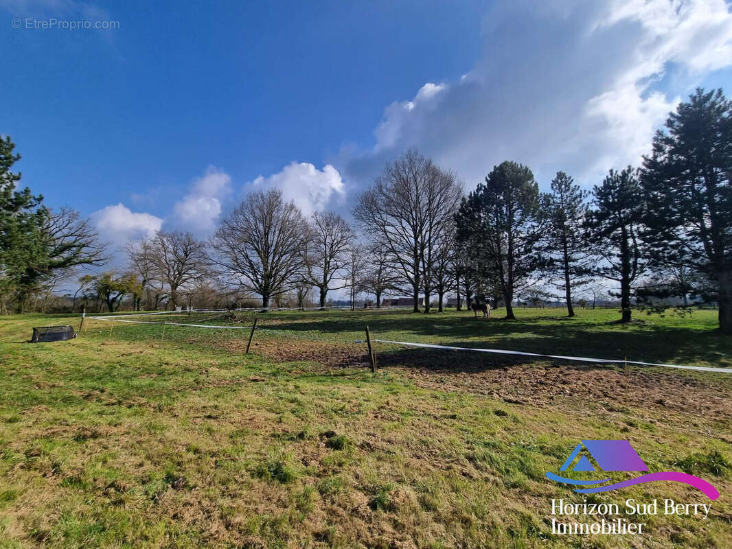 Terrain - Maison à VICQ-EXEMPLET