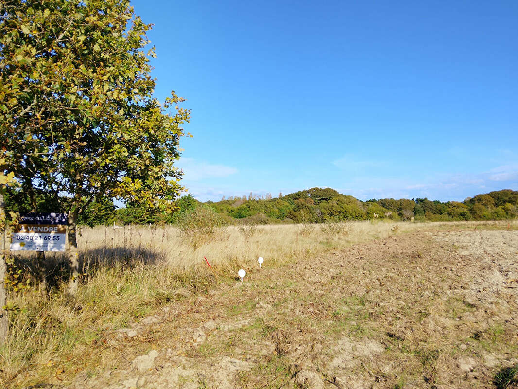 Terrain à LA PLAINE-SUR-MER