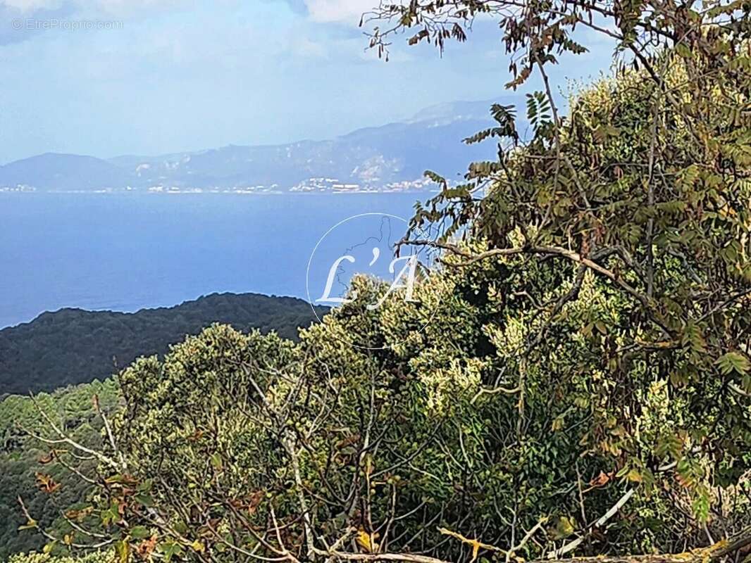 Terrain à COTI-CHIAVARI