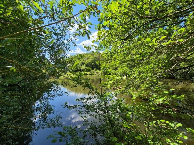 Terrain à PRESSIGNAC