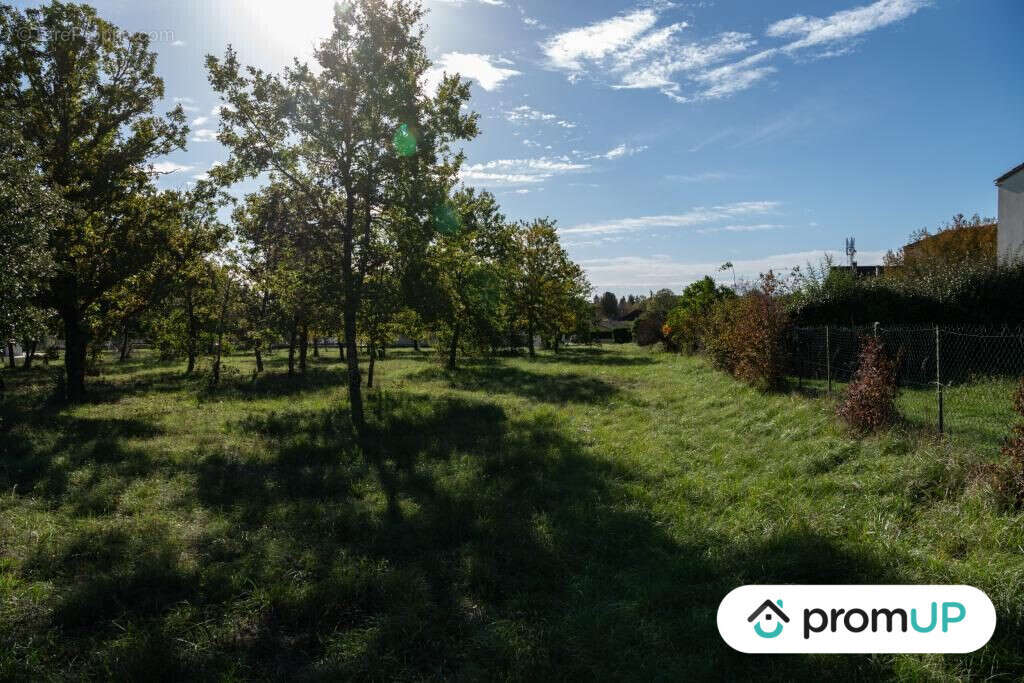 Terrain à LALBENQUE