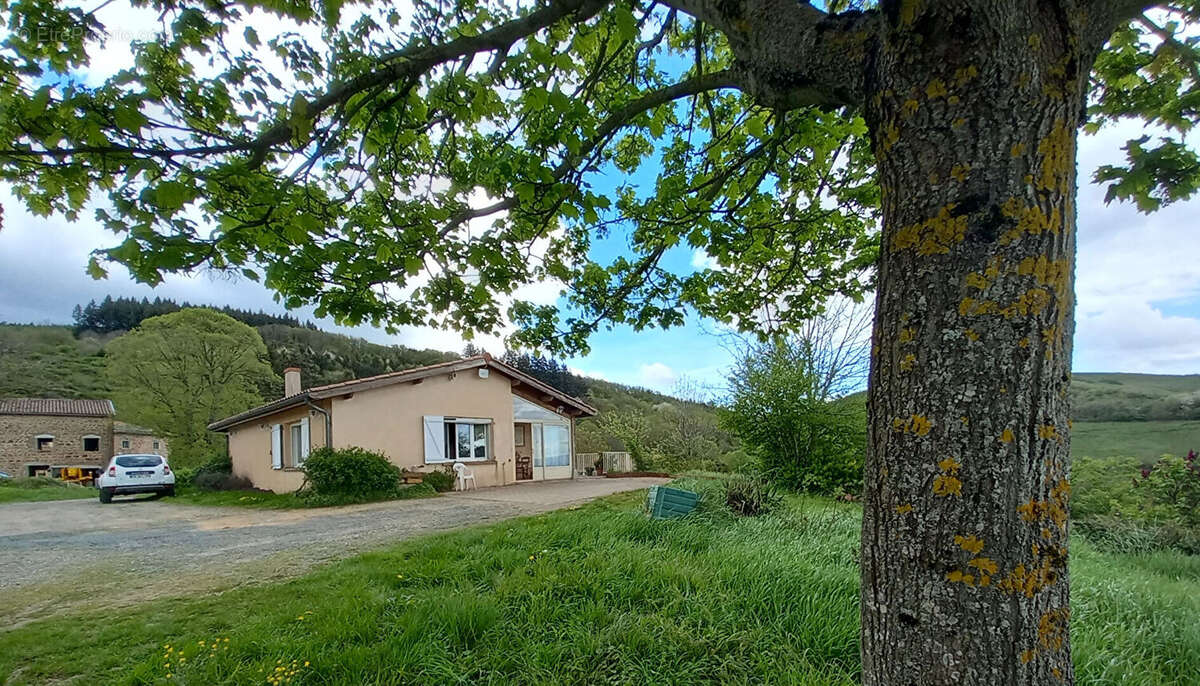 Maison de plain-pied , 103 m² , vue exceptionnelle. Terrain 2 800 m² - photo 9