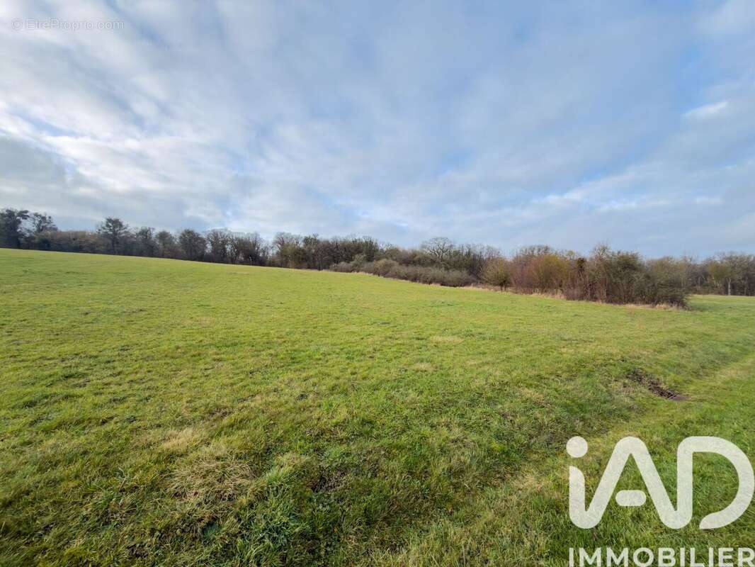 Photo 6 - Terrain à SOULIERES