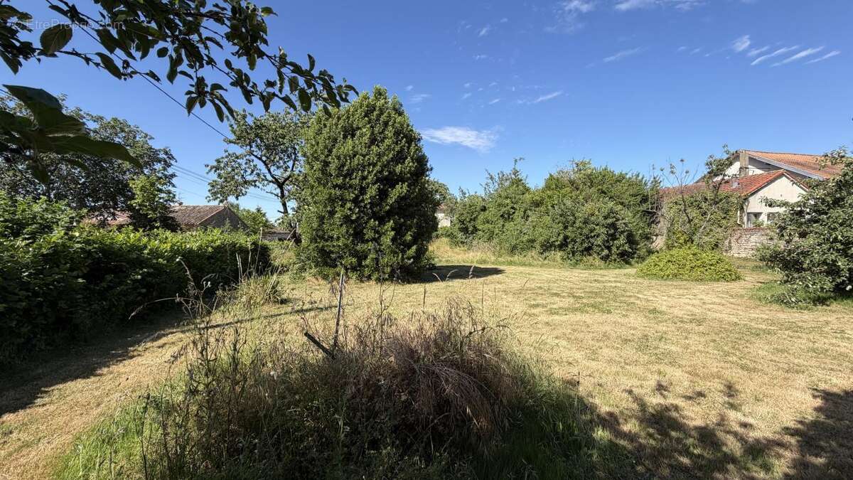 Terrain à AZAY-LE-BRULE
