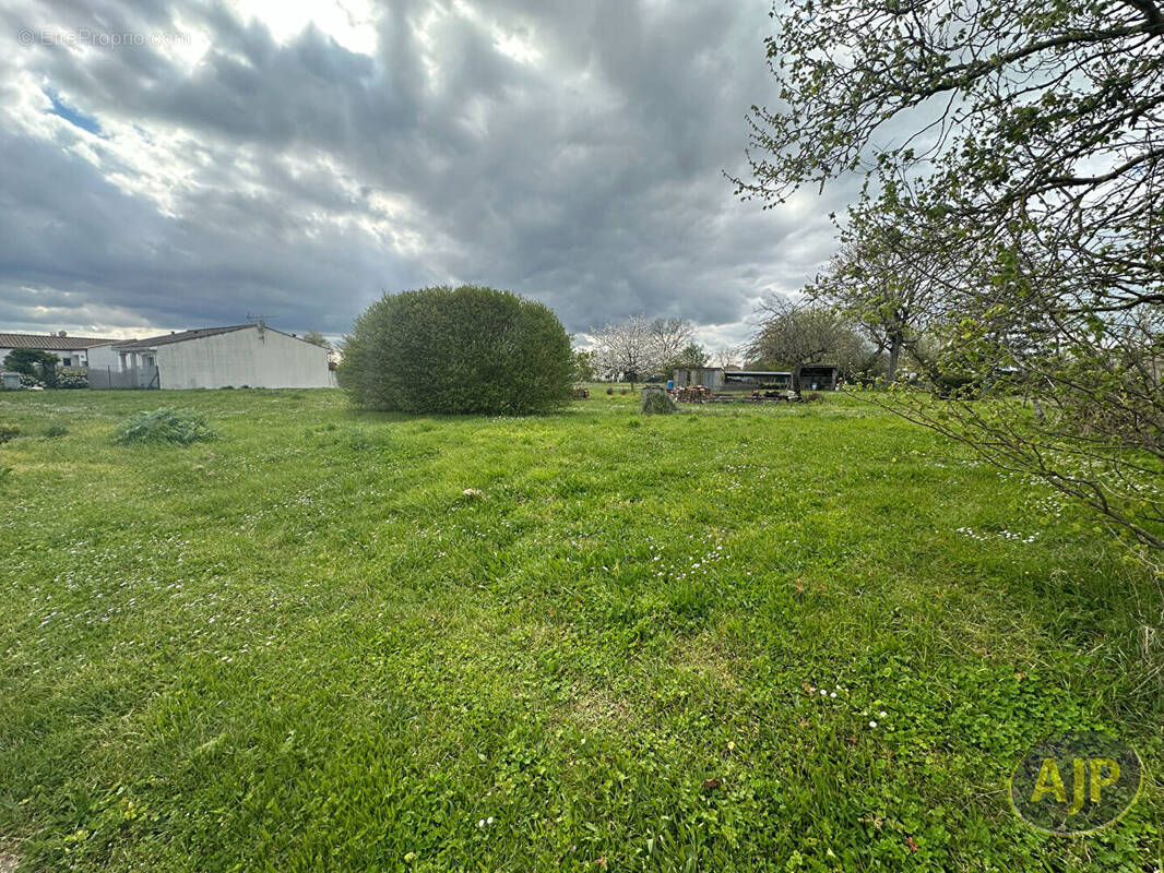 Terrain à SAINT-SEURIN-DE-PALENNE