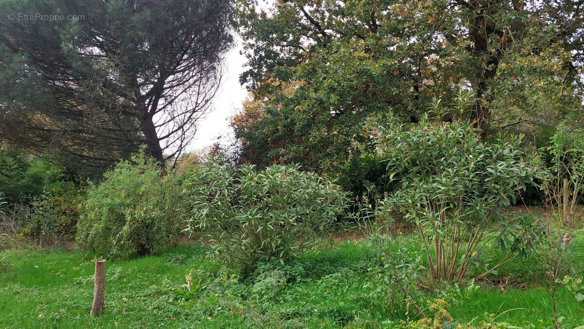 Terrain à VERGEROUX