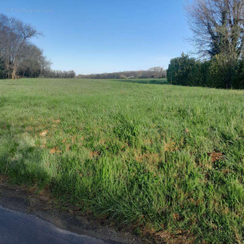 Terrain plat 1980 m² à la campagne – cadre calme – mandat exclusif - SAINT SORNIN (16) - photo 2