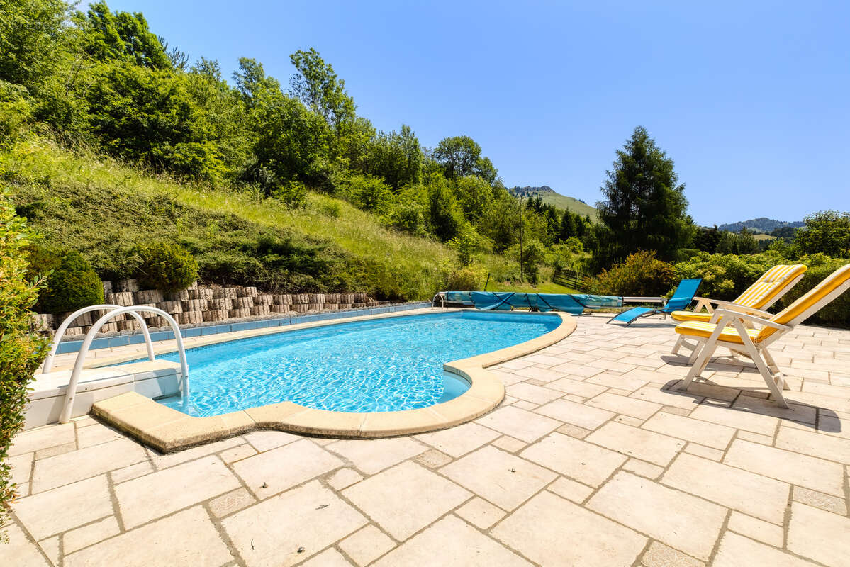 Habère Poche - Chalet 180 m2 - Piscine - photo 16