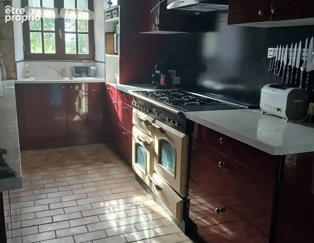 Château avec piscine chauffée,  vastes dépendances, possibilité chambres d'hôtes - photo 6
